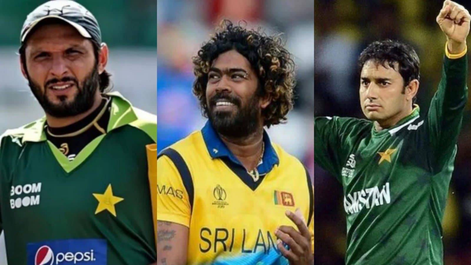 Top 5 Wicket-Takers in T20 World Cup History